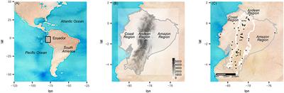 Future Meteorological Droughts in Ecuador: Decreasing Trends and Associated Spatio-Temporal Features Derived From CMIP5 Models